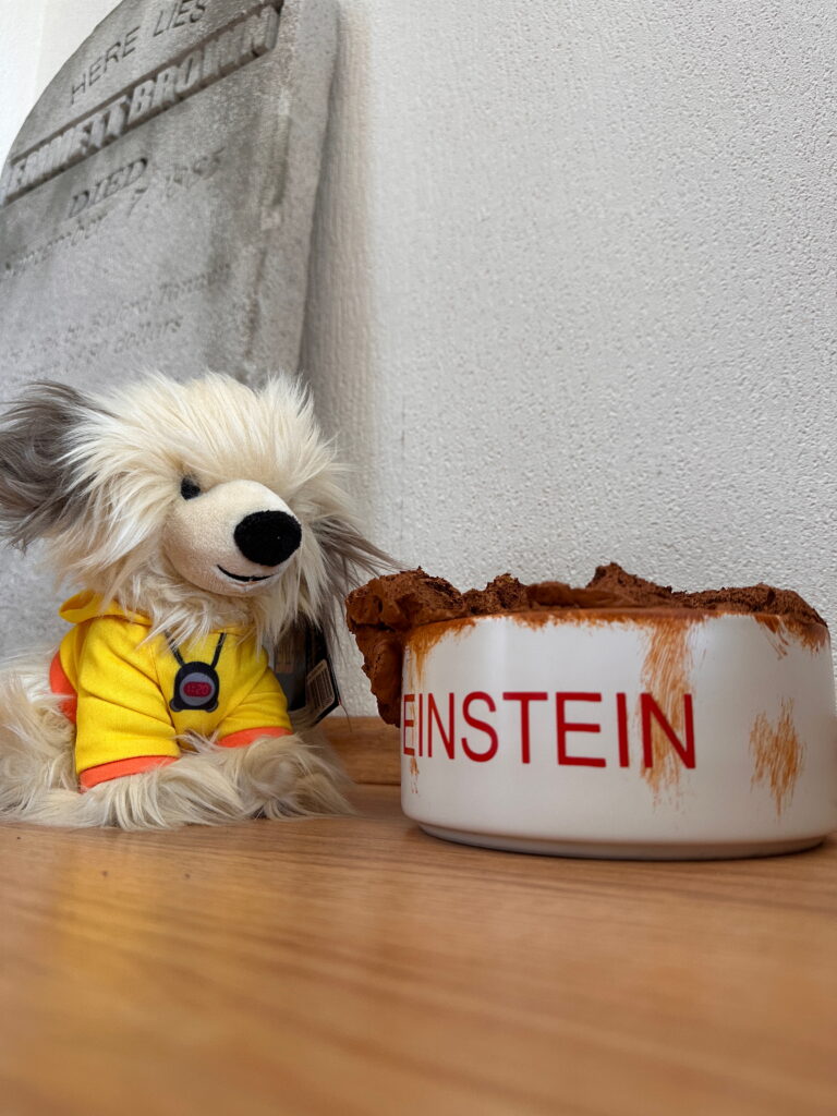Einsteins Fressnapf Einsteins Fressnapf